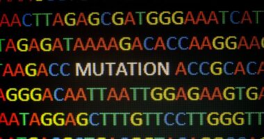 gene mutation USP8