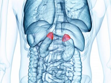 Adrenal venous sampling