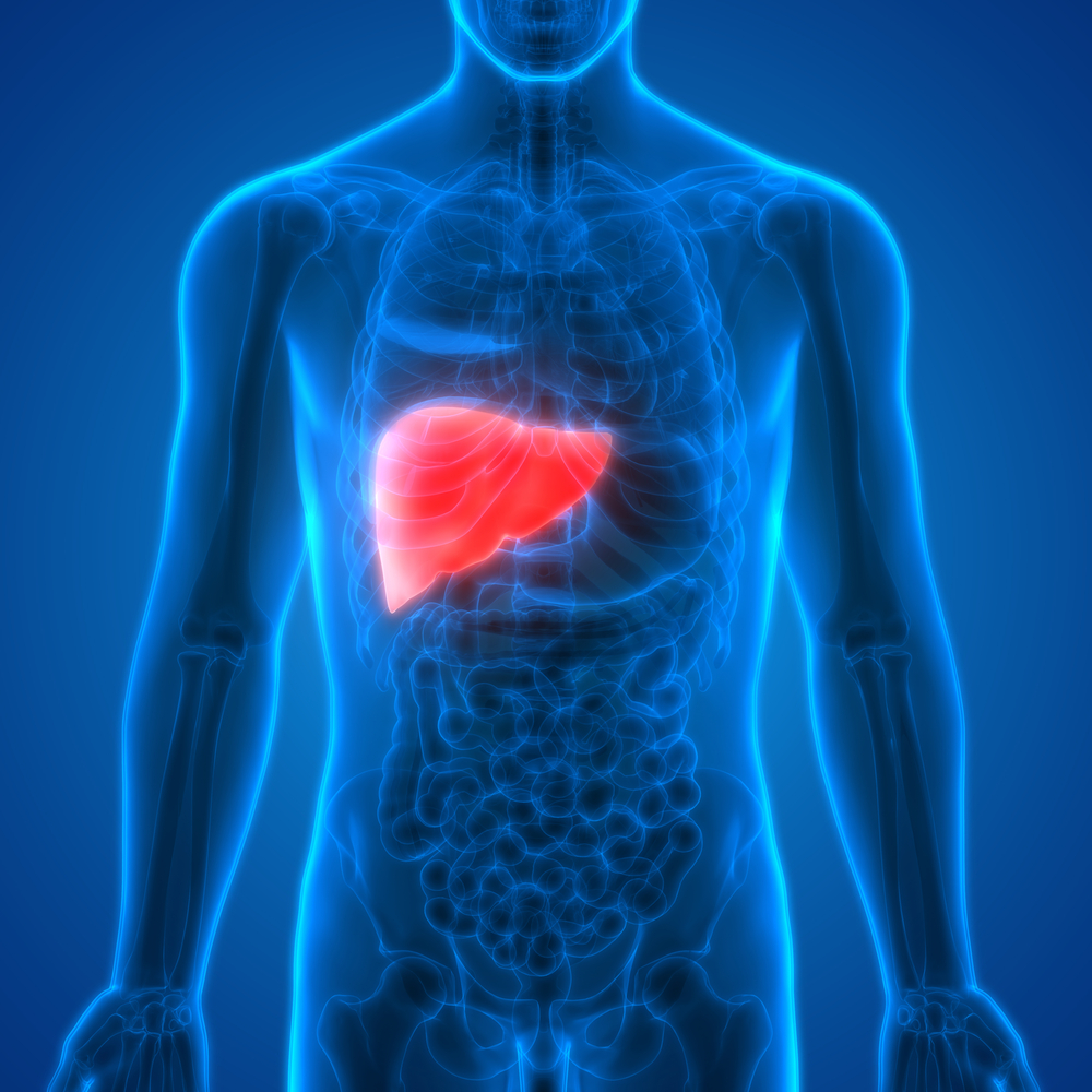 Fatty liver disease therapy