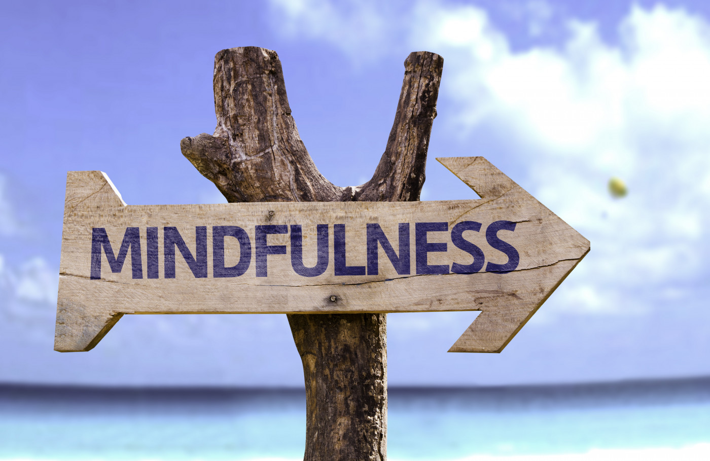 mindfulness retreat