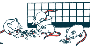 abdominal obesity | Cushing's Disease News | illustration of laboratory mice eating