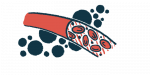 An illustration shows a close-up view of blood cells inside a blood vessel.
