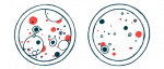 An illustration shows cells in two petri dishes.