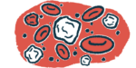 A drawing of white and red blood cells.