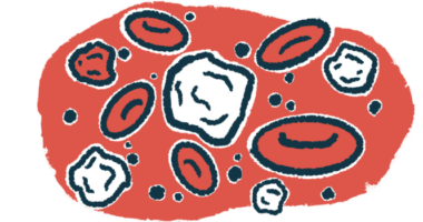 A drawing of white and red blood cells.