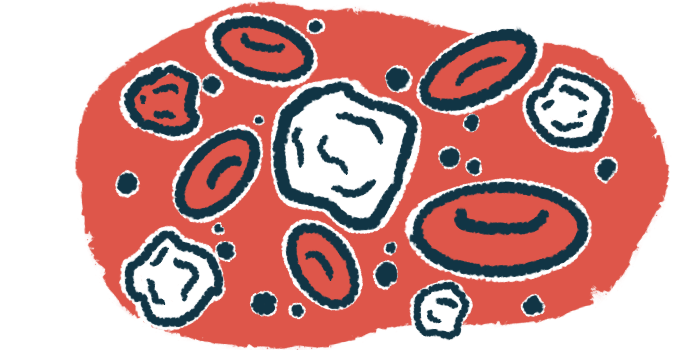 A drawing of white and red blood cells.