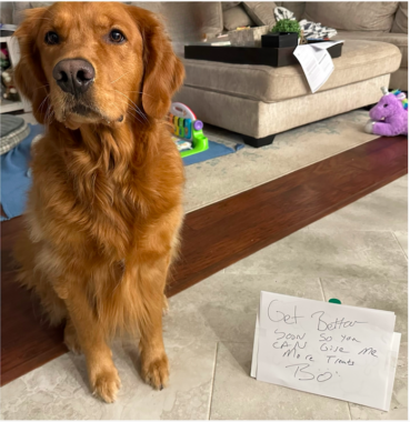 A golden retriever sits next to a sign that reads "Get better soon so you can give me more treats. – Bo."